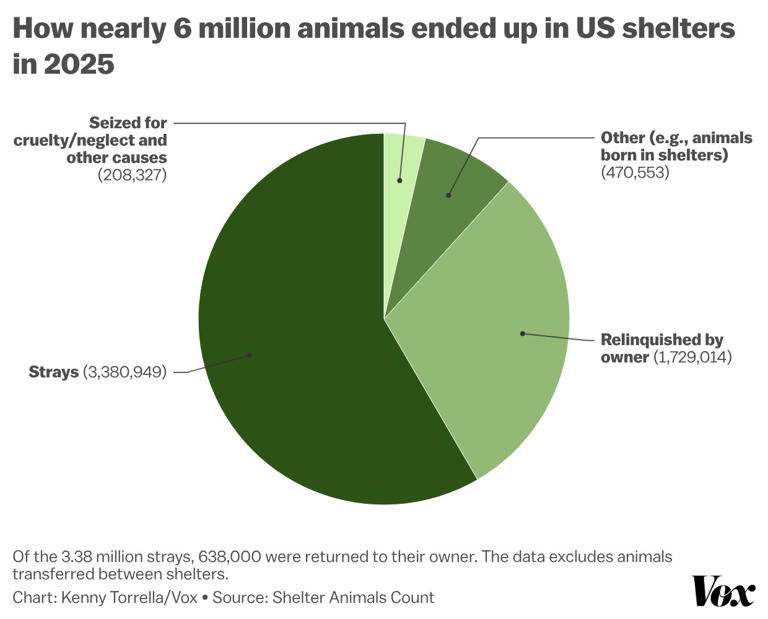 What haunts America’s animal shelter workers