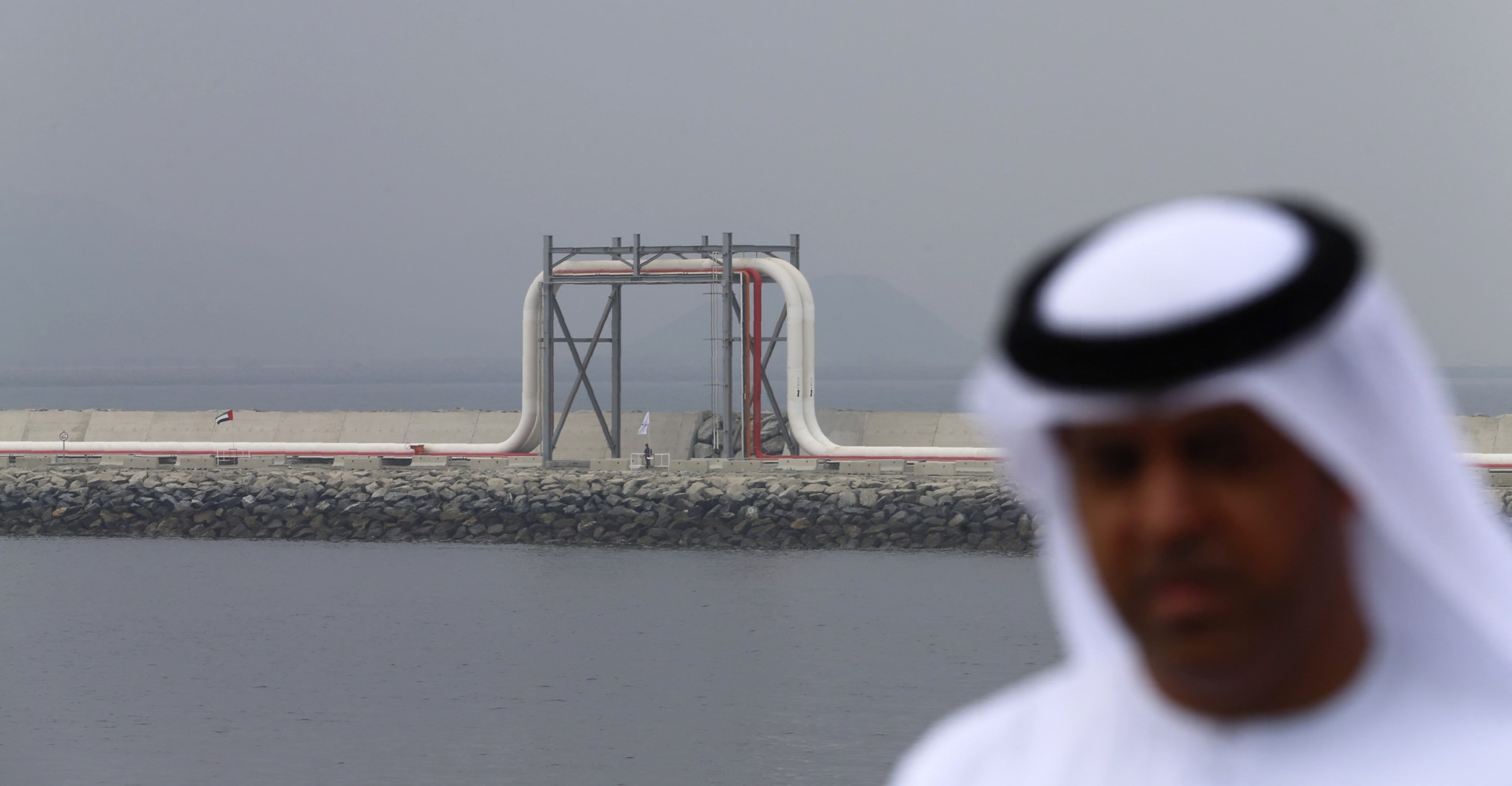 ‘Take the money and run’: Johns Hopkins economist Steve Hanke on why the UAE quit OPEC