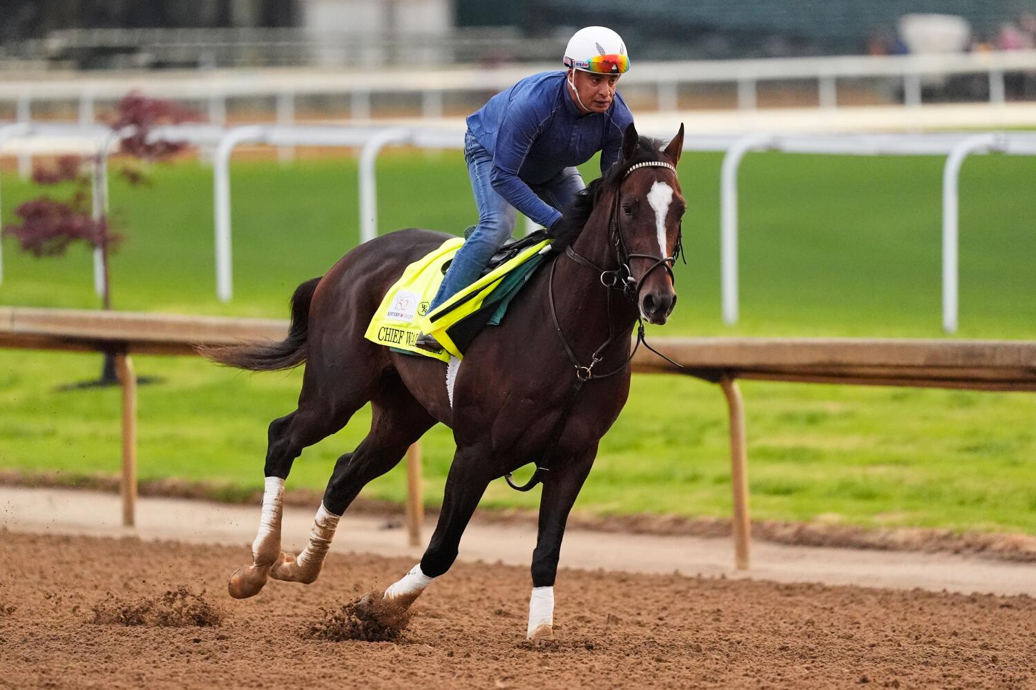 Who will win the Kentucky Derby? With no dominant favorite, odds are ...
