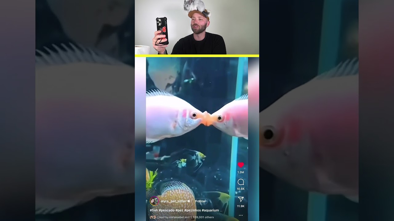 See the tiny loving fish that make me think of my girlfriend