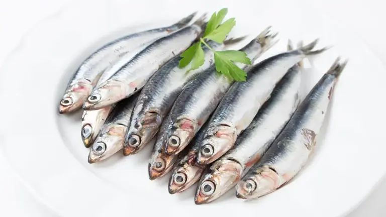 Así se hacen los boquerones o anchoas a la bilbaína según los cocineros ...
