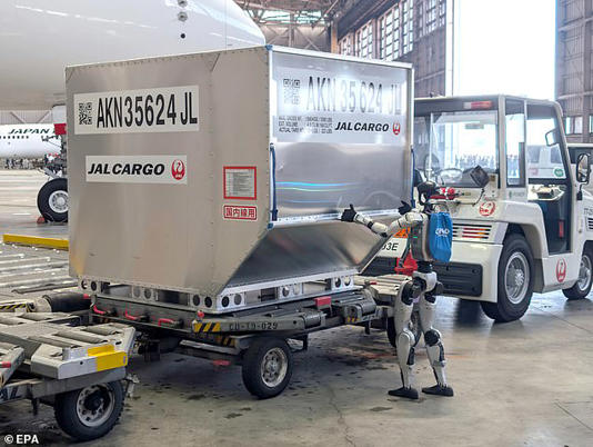 The humanoid robots will be trained to load cargo containers on and off flights in order to help ease the workforce pressures created by Japan's ageing population