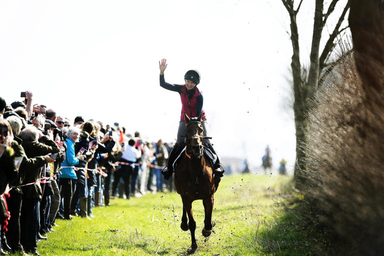 Leave horse racing alone, the wonderful animals are not abused ...