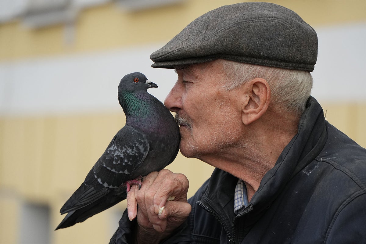 Urban birds are more scared of women than men, study finds