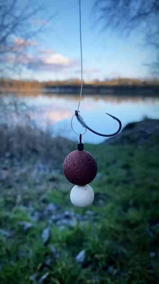 Simple carp rig that actually works