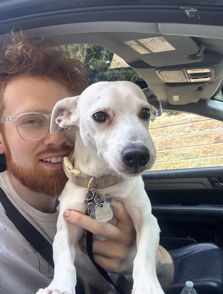 Alliance dog rescued after getting stuck 6′ down a groundhog hole