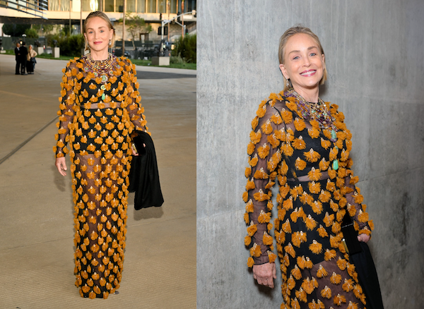 À presque 70 ans, Sharon Stone ose la naked dress dans une version