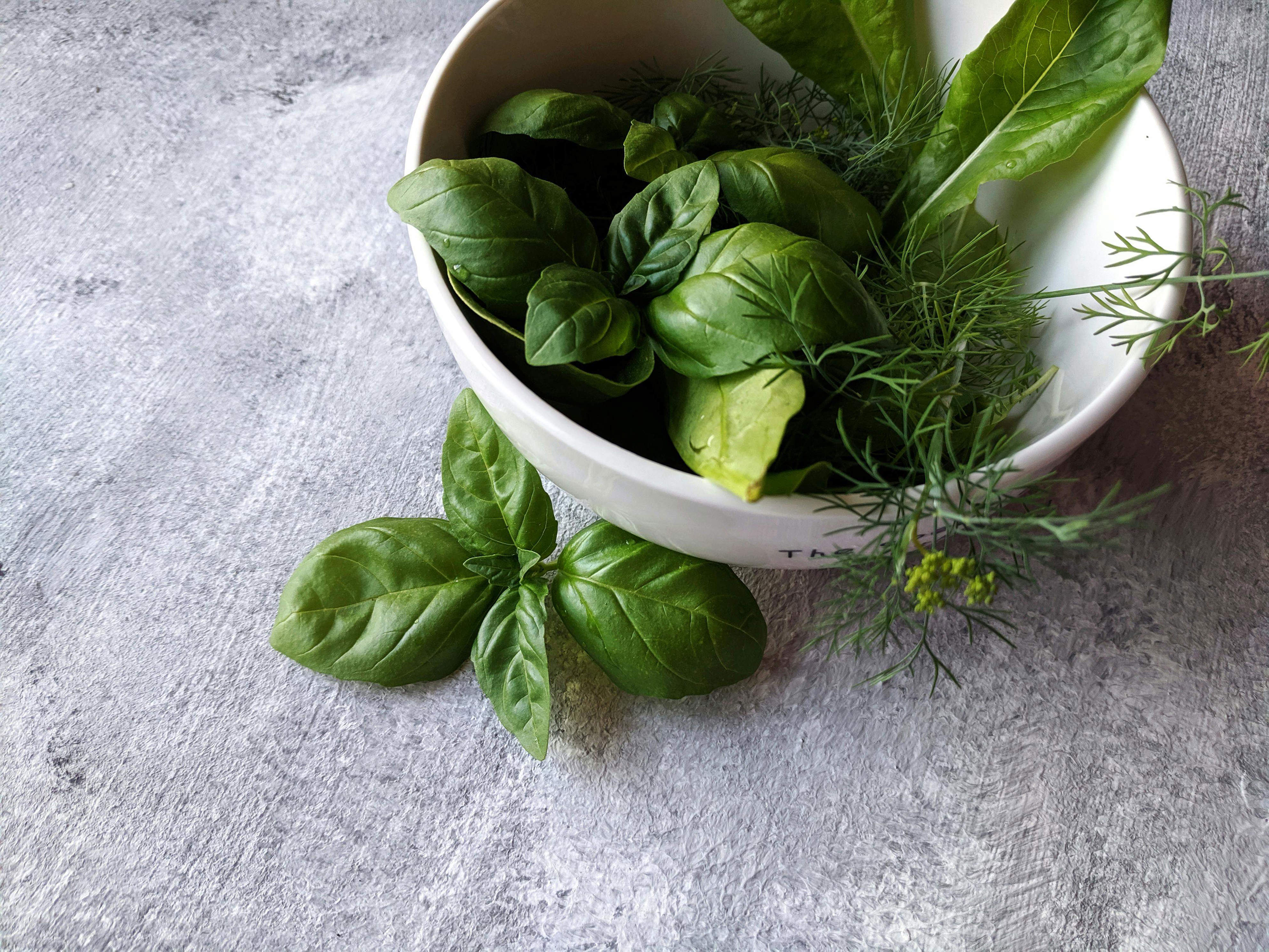el-truco-de-los-chefs-de-restaurante-para-conservar-hojas-de-albahaca