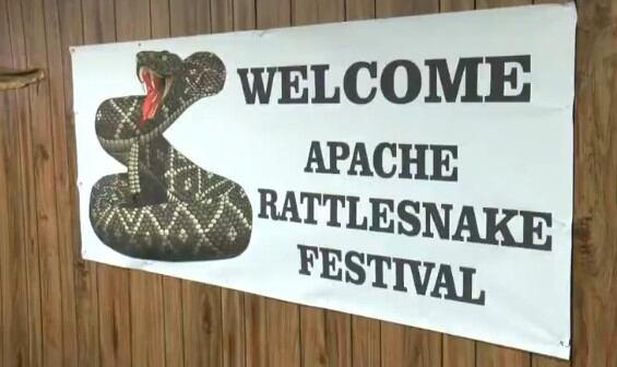 Apache Rattlesnake Festival draws thousands for 42nd year