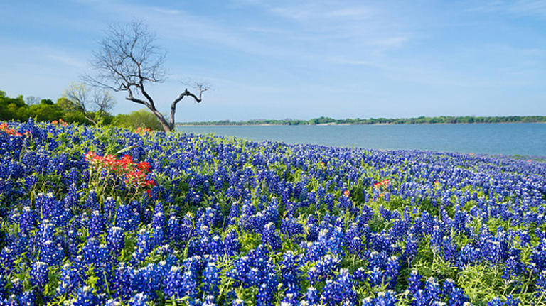 5 mellow spring break destinations in Texas free of rowdy crowds ...
