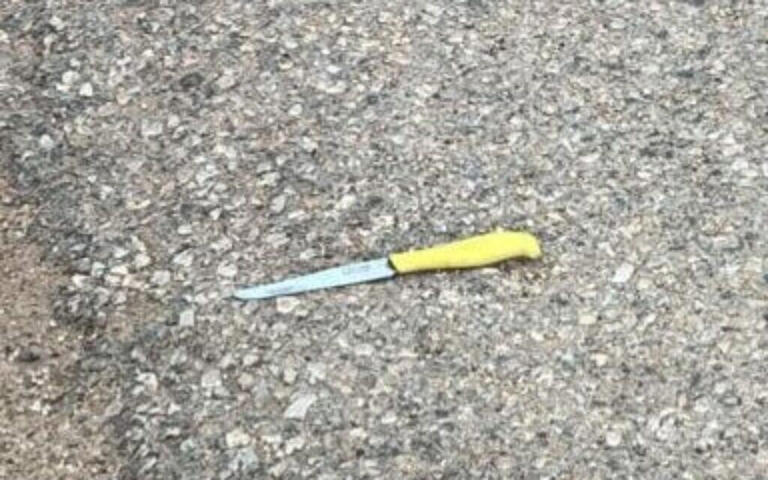 Palestinian armed with knife breaches West Bank settlement, is shot ...