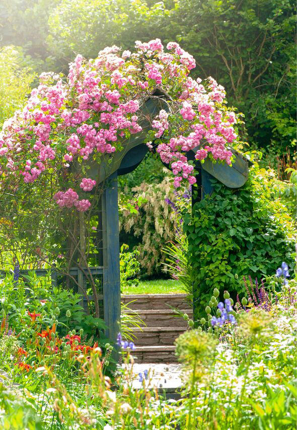 I'm a gardening expert - now's the perfect time to plant this UK garden ...