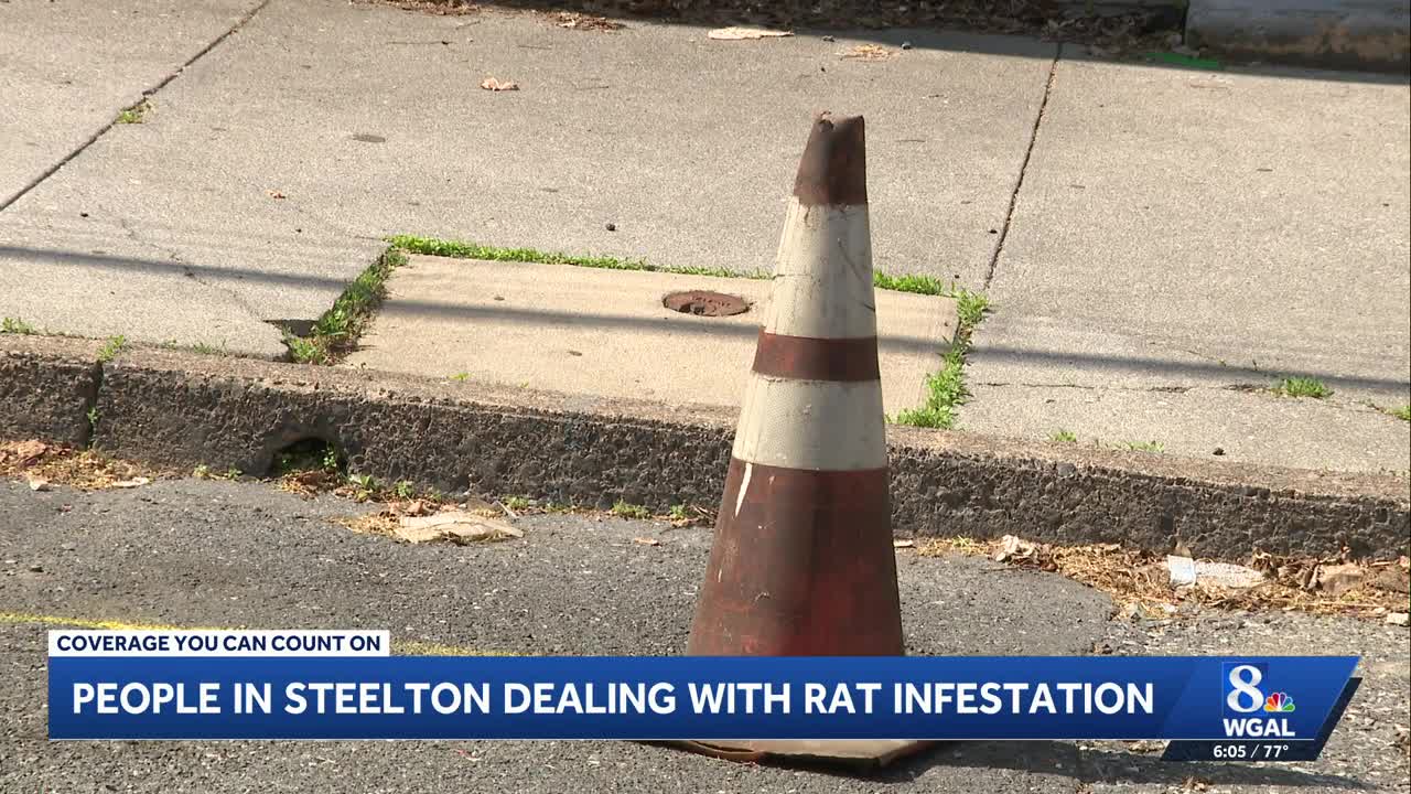 Borough: Condemned home source of major rat problem