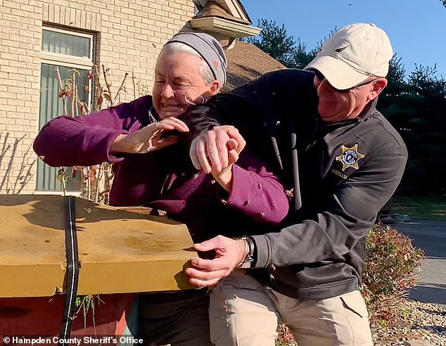 Hilarious arrest pics of woman found guilty of setting swarm of angry ...