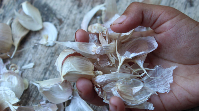 The unexpected kitchen scrap that makes a perfect DIY garden fertilizer