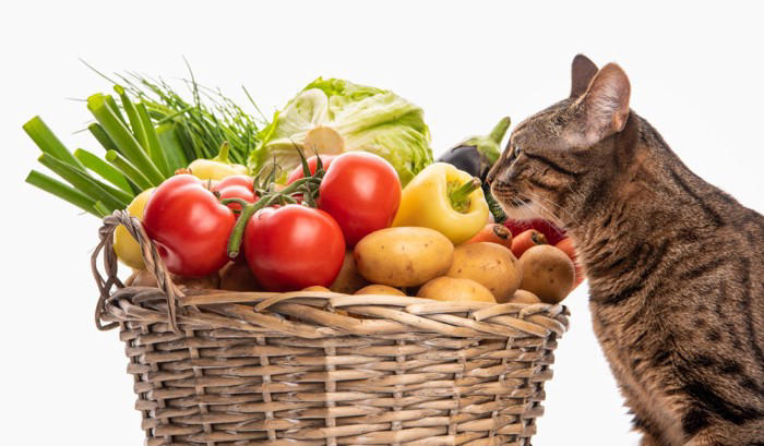 猫に食べさせてはいけない『危険な野菜』4選 命に関わる理由や誤飲時に取るべき対処法