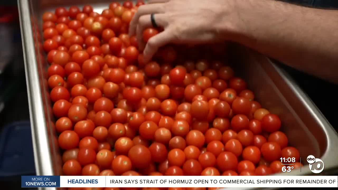 Local businesses talk impact as tomato prices reach an eight-year high ...