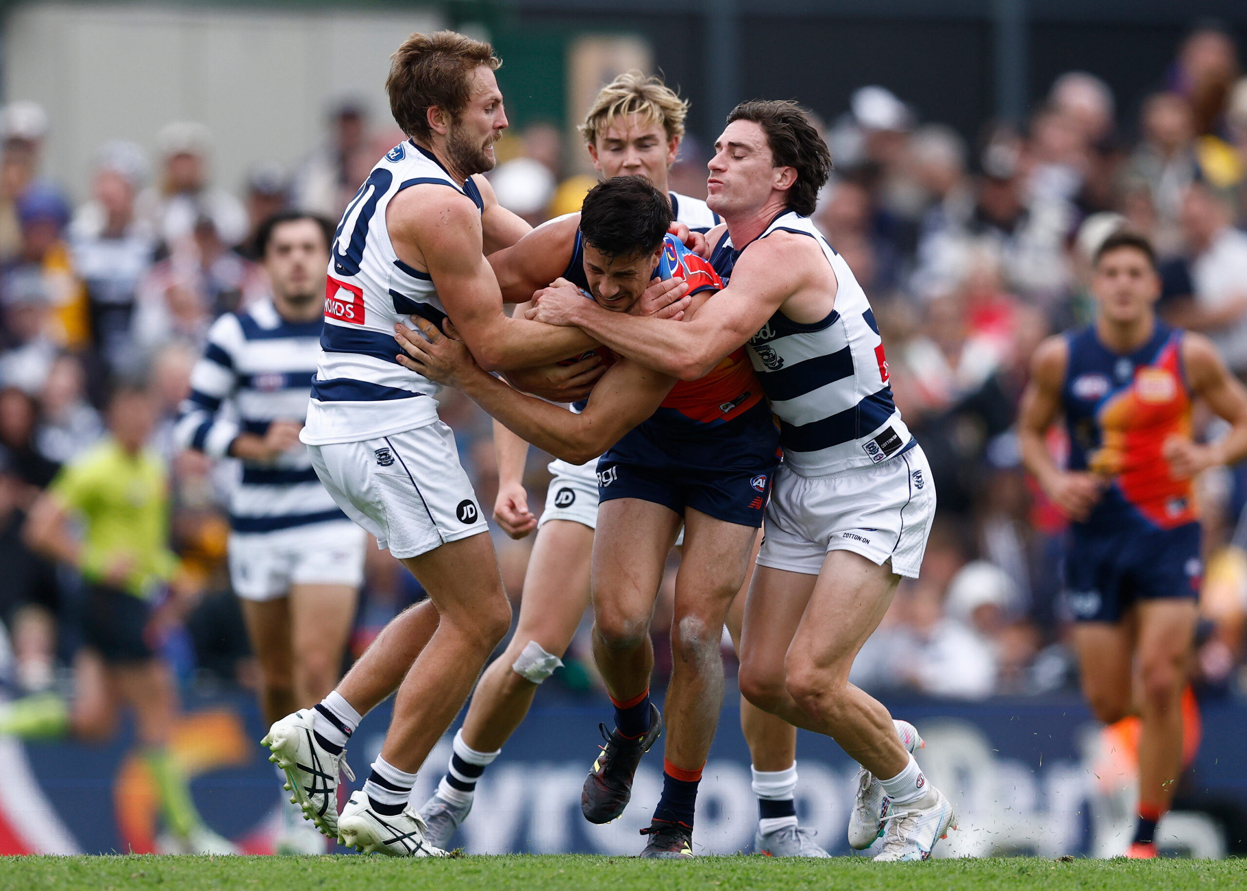 Geelong gun to be assessed for full ACL tear