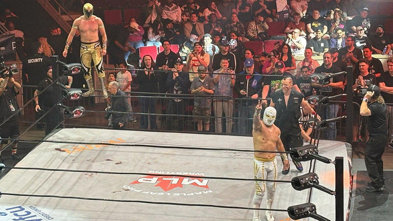 'The Naked Gun' actor Paul Walter Hauser bloodies opponent at Maple ...