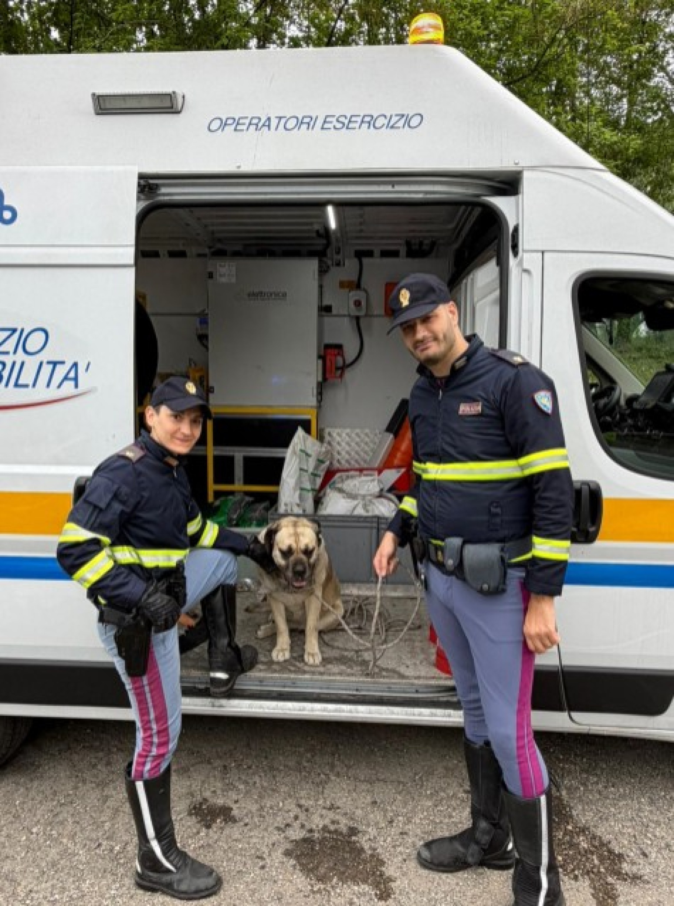Cane si perde e finisce sulla tangenziale di Bologna, salvato dalla ...