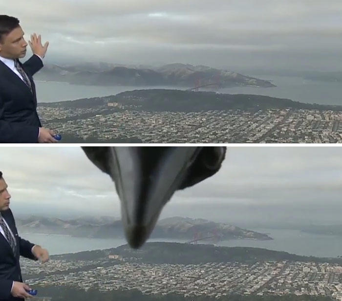 48 times birds acted badly and got called out online
