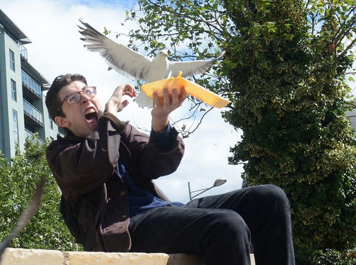 48 times birds acted badly and got called out online