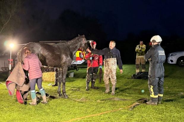 Firefighters rescue 'exhausted' horse stuck in deep mud