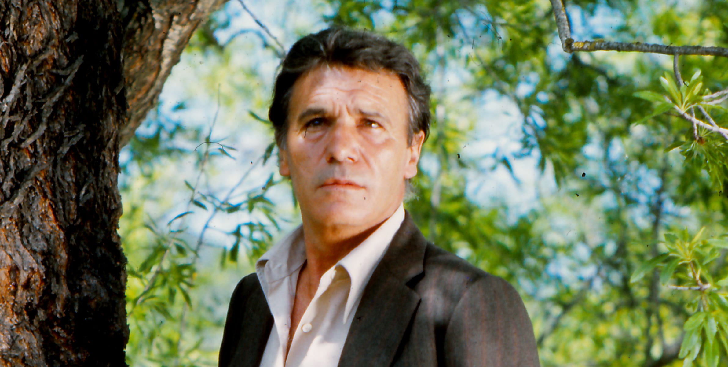 Daniel Rabal Davidov: 