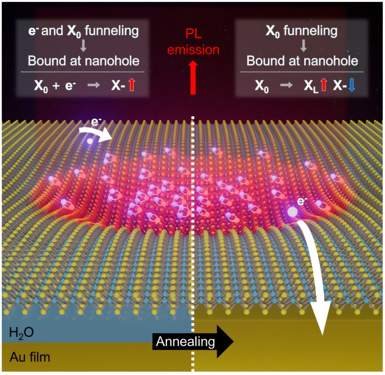 Bright quantum light emission achieved at room temperature in 2D ...