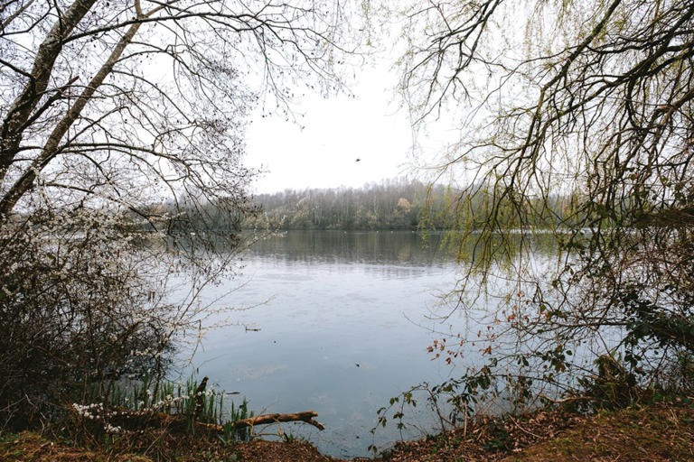 Getting outside with a camera is the best thing for your mental health