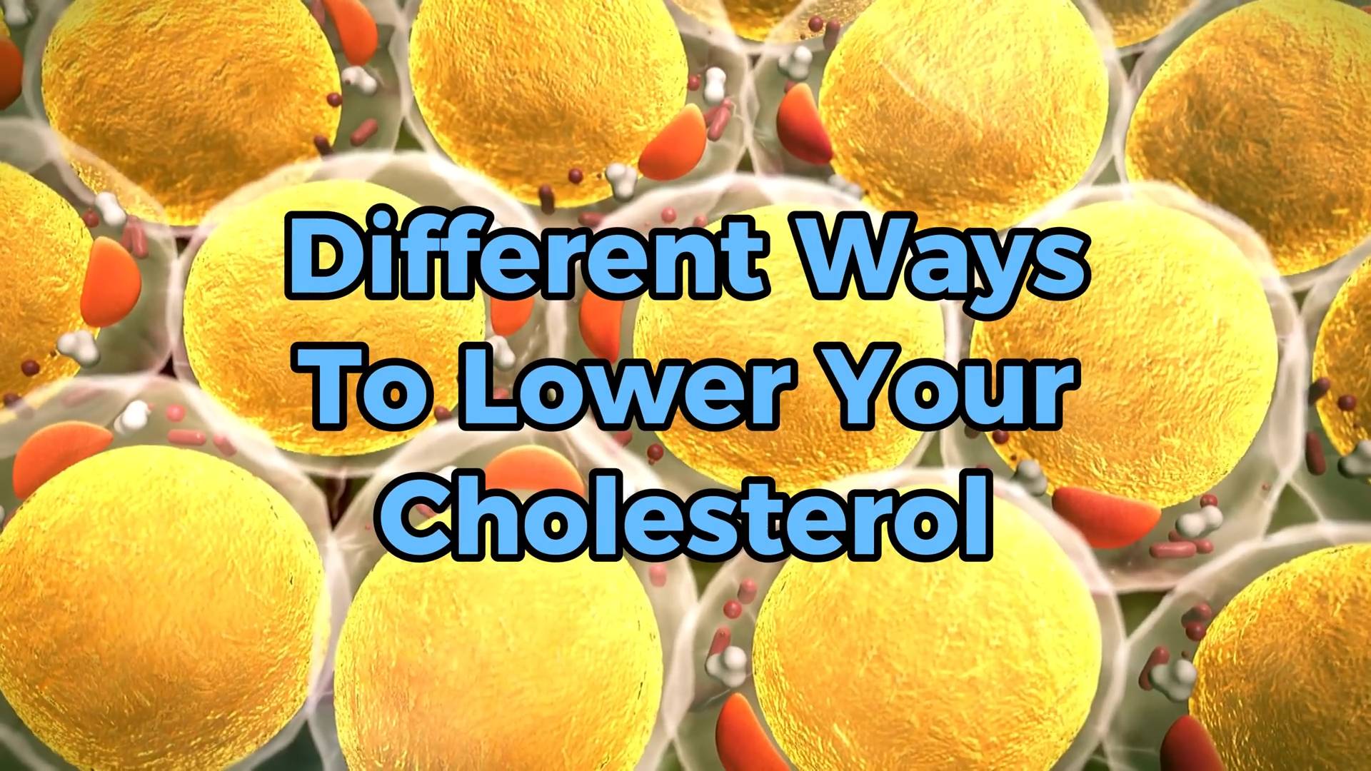 Does fiber supplementation actually reduce cholesterol?