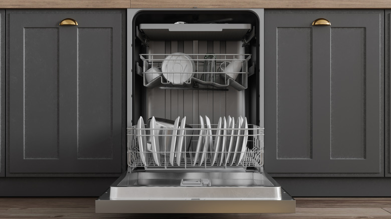 The biggest mistake you're probably making with your dishwasher's lower ...