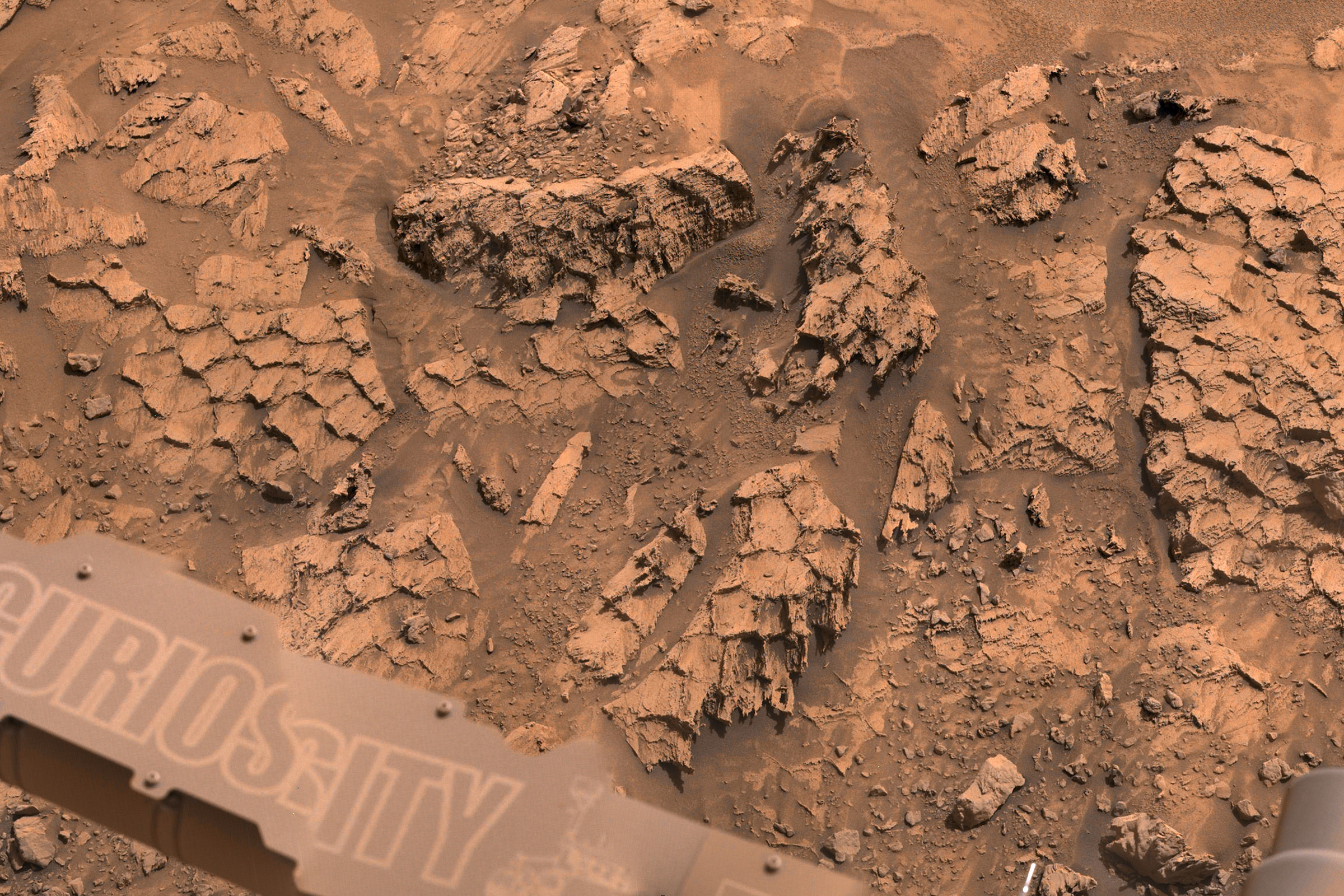 NASA's Mars rover comes across formation that looks like the scales of a massive cosmic reptile