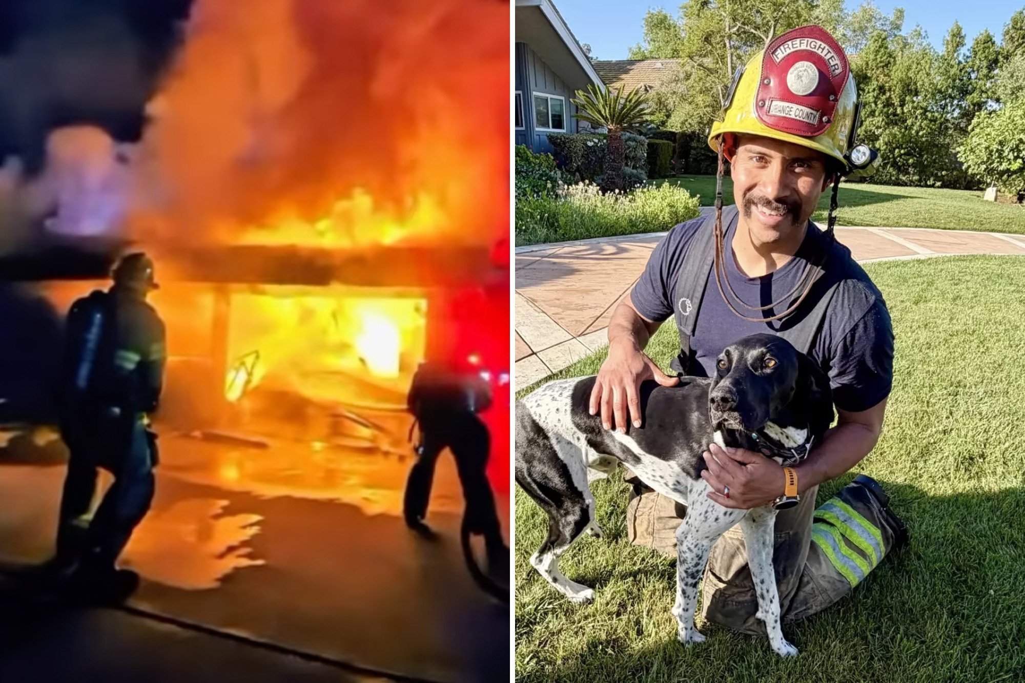 'Hero hound' sounds alarm, saves family from devastating inferno