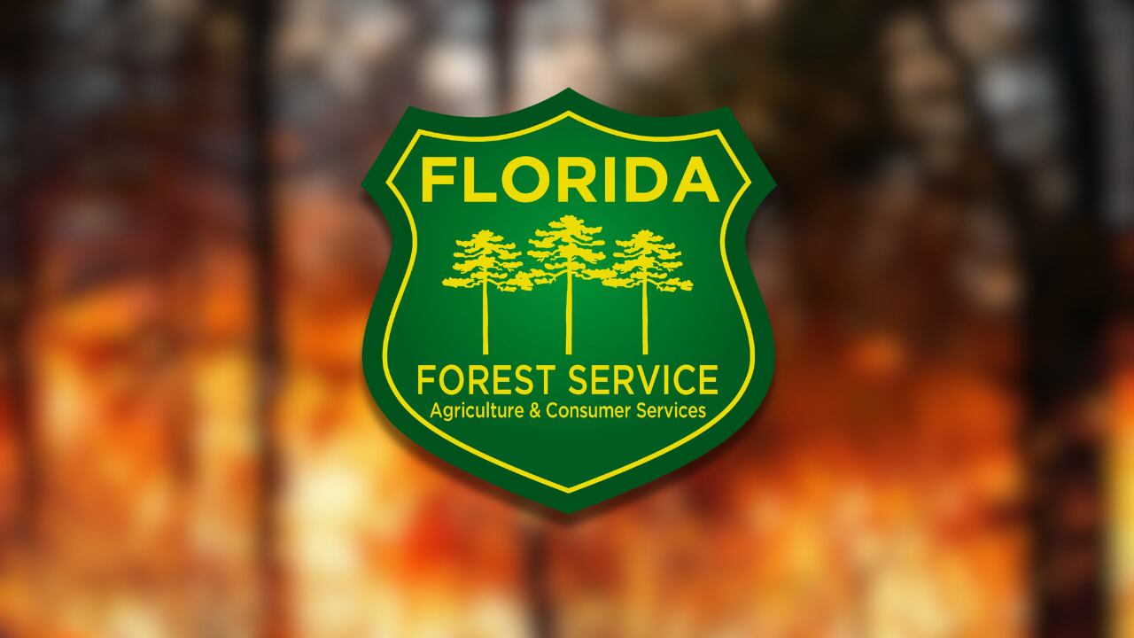 Updates on Dixie and Putnam County fires
