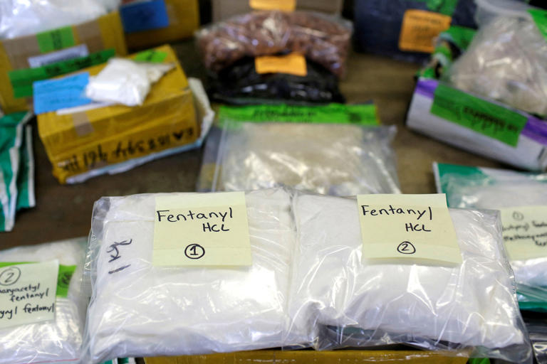 As fentanyl crisis evolves, experts say US is still 'behind the eight ball'