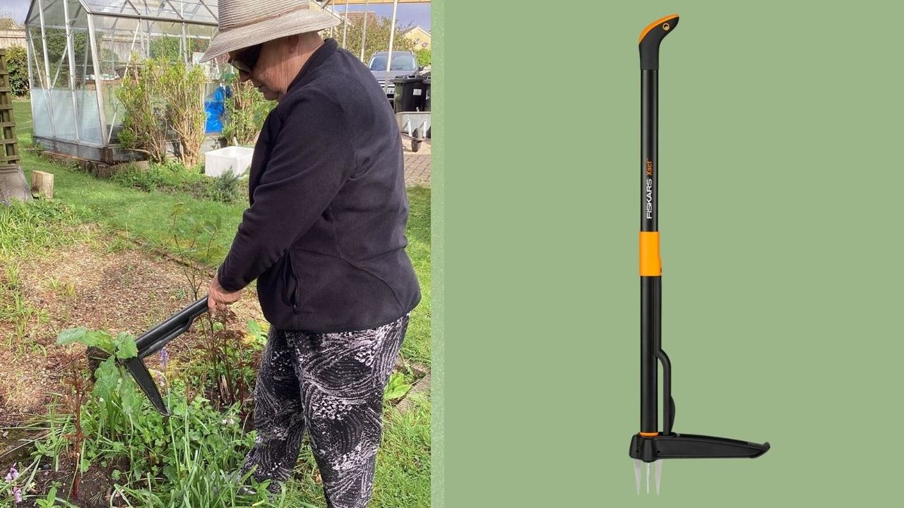 'This weeder is light and easy to use' – this stand-up gardening tool ...