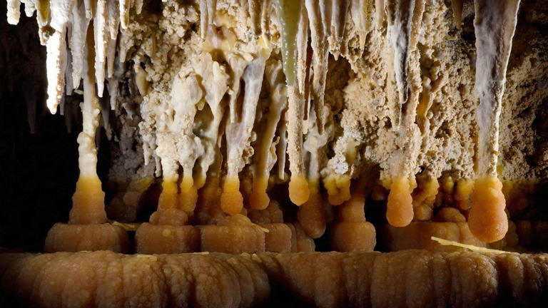 Bactérias raras que se alimentam de rochas ajudam a dar forma aos espeleotemas da caverna de Lechuguilla