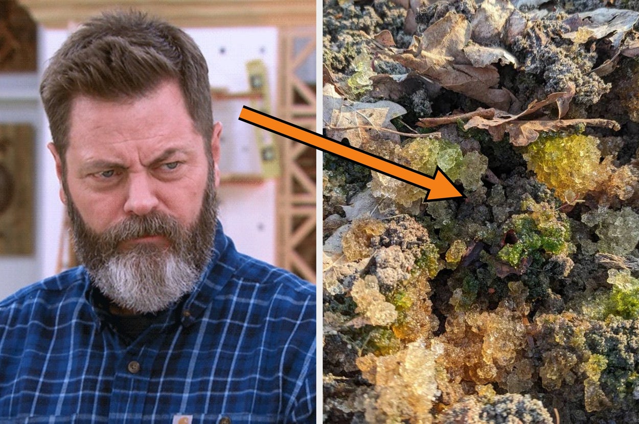 People were totally stumped by these 43 bizarre objects until the ...