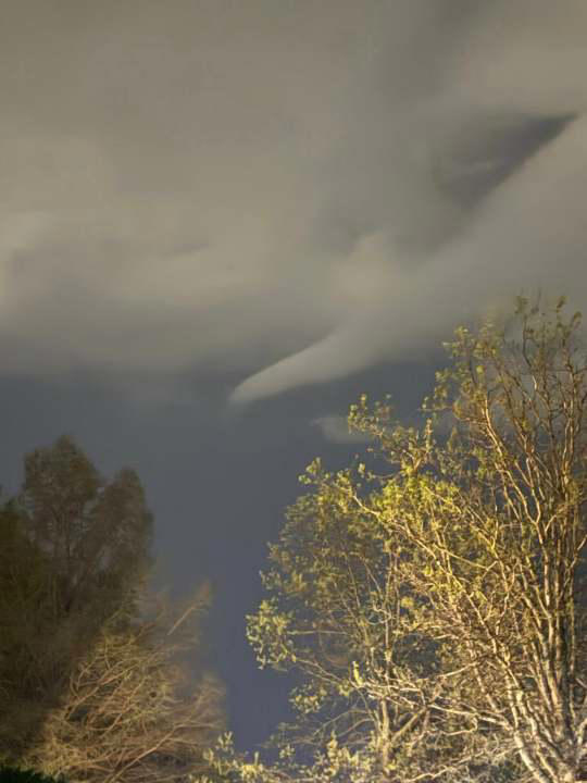 Storm damage across central Illinois amid Friday’s severe weather