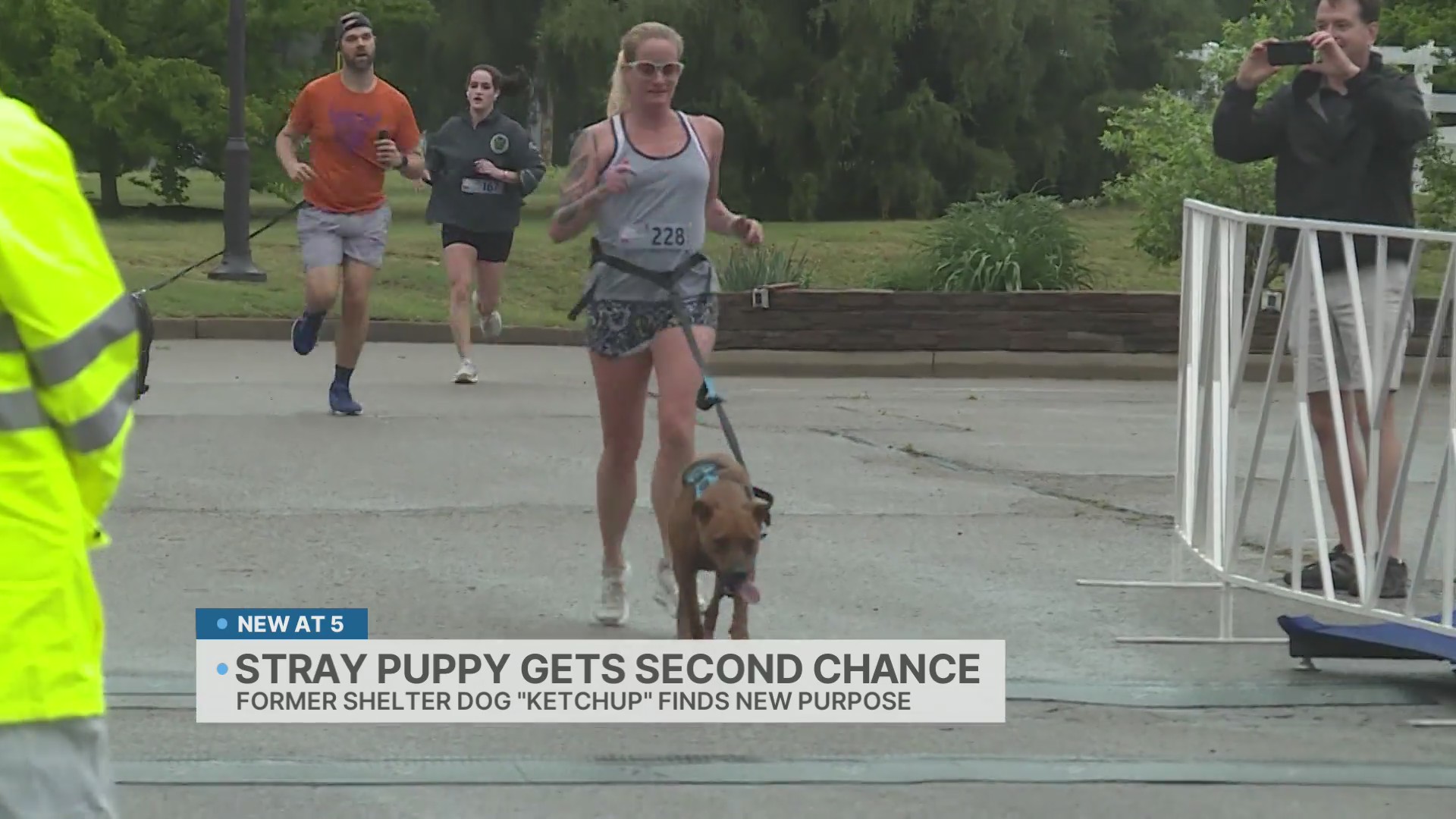 Memphis rescue dog finds new purpose crossing finish lines