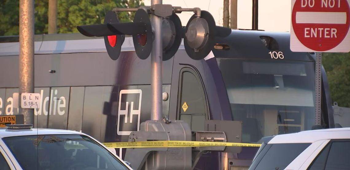 Blue Line resumes operations after train strikes pedestrian, officials say