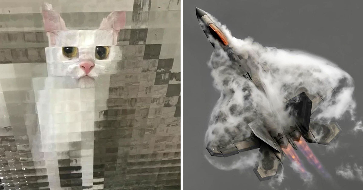47 engaging photos to make your day more interesting