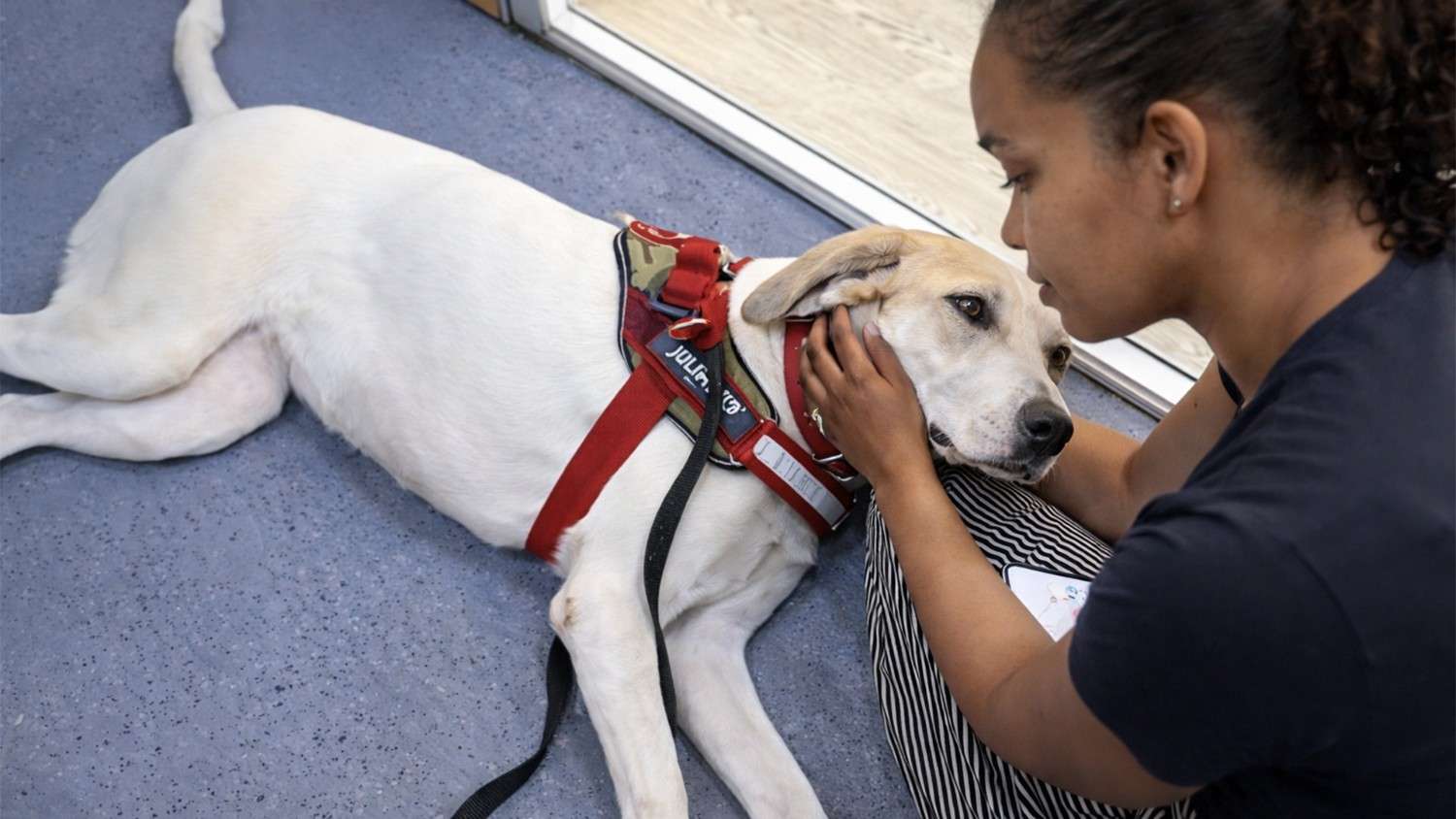 We tried to save this forgotten rescue dog… it didn’t go as planned