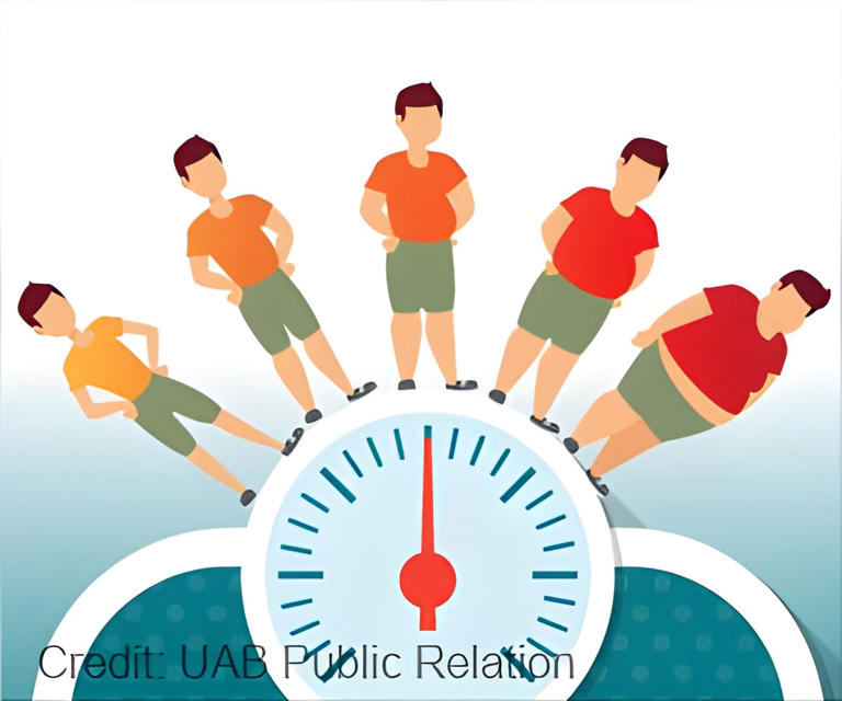 Adiposity rebound mystery: Childhood BMI changes linked to muscle ...