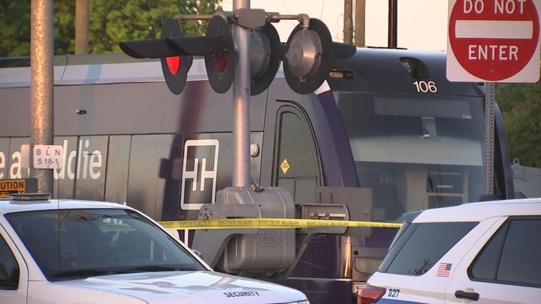 Pedestrian dies after being struck by light rail while crossing ...