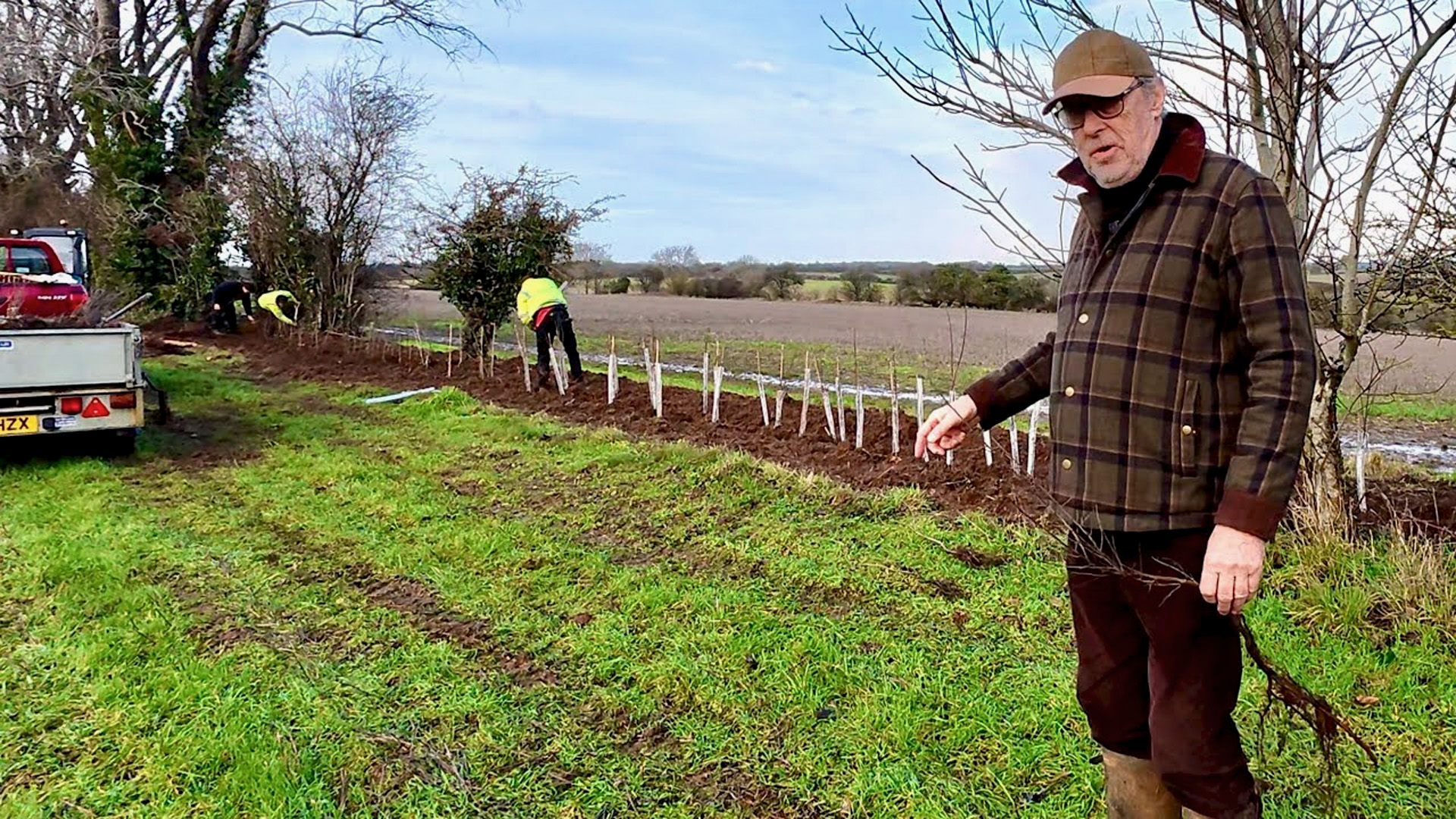 Can strategic hedging protect your land from harsh winter weather?