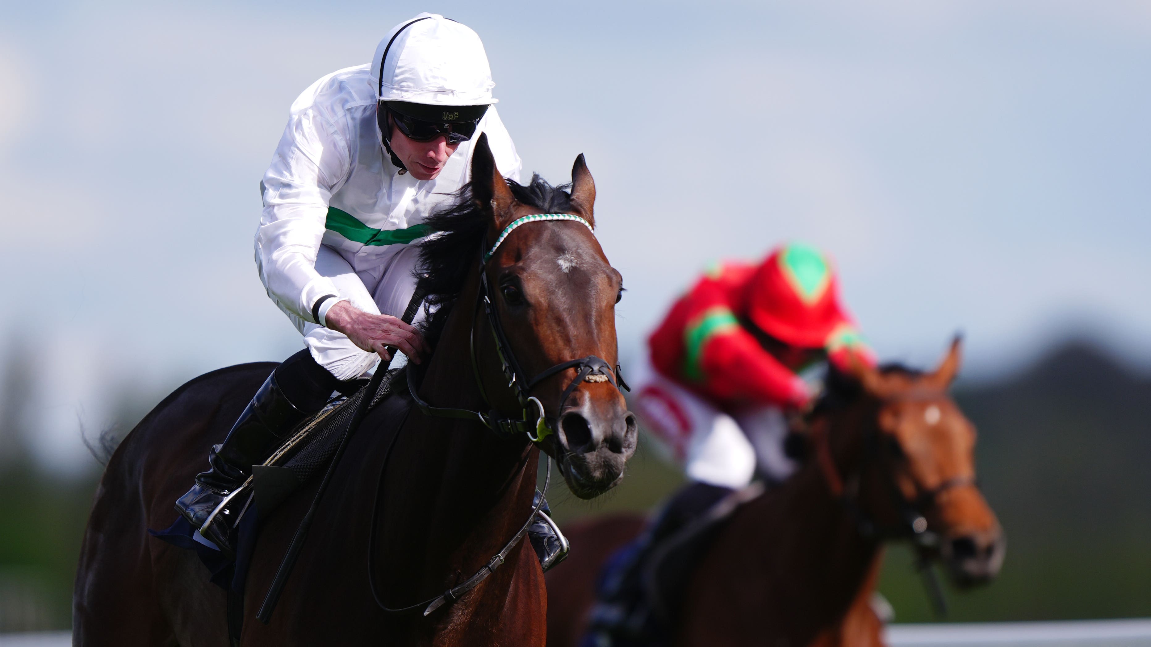 Water to Wine makes deep impression on Newbury debut