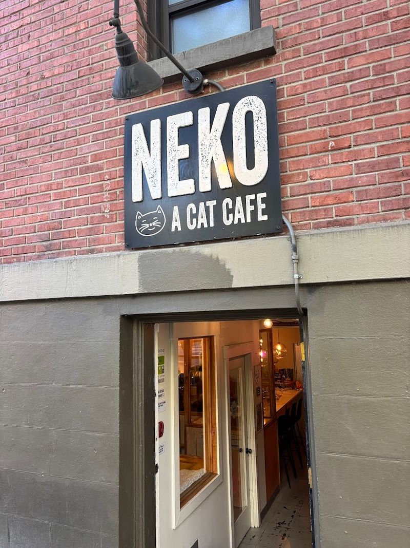 The delightful cat cafe in Washington that will make your day ...