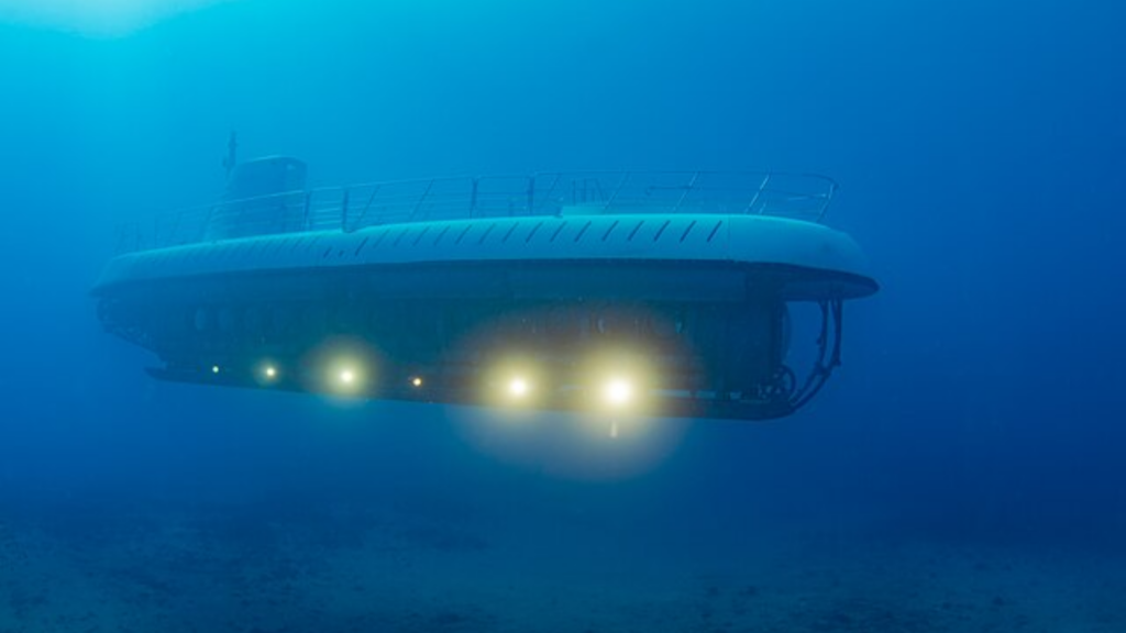 Scientists discover new life forms 31,000 feet beneath the ocean surface